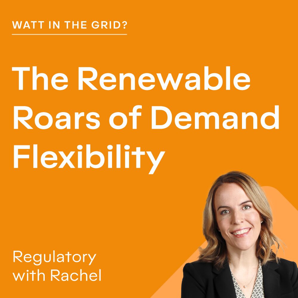 The Renewable Roars of Demand Flexibility  
