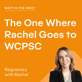 The One Where Rachel Goes to WCPSC