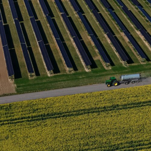 Growing crops under solar panels? In Iowa, a utility shows it’s working