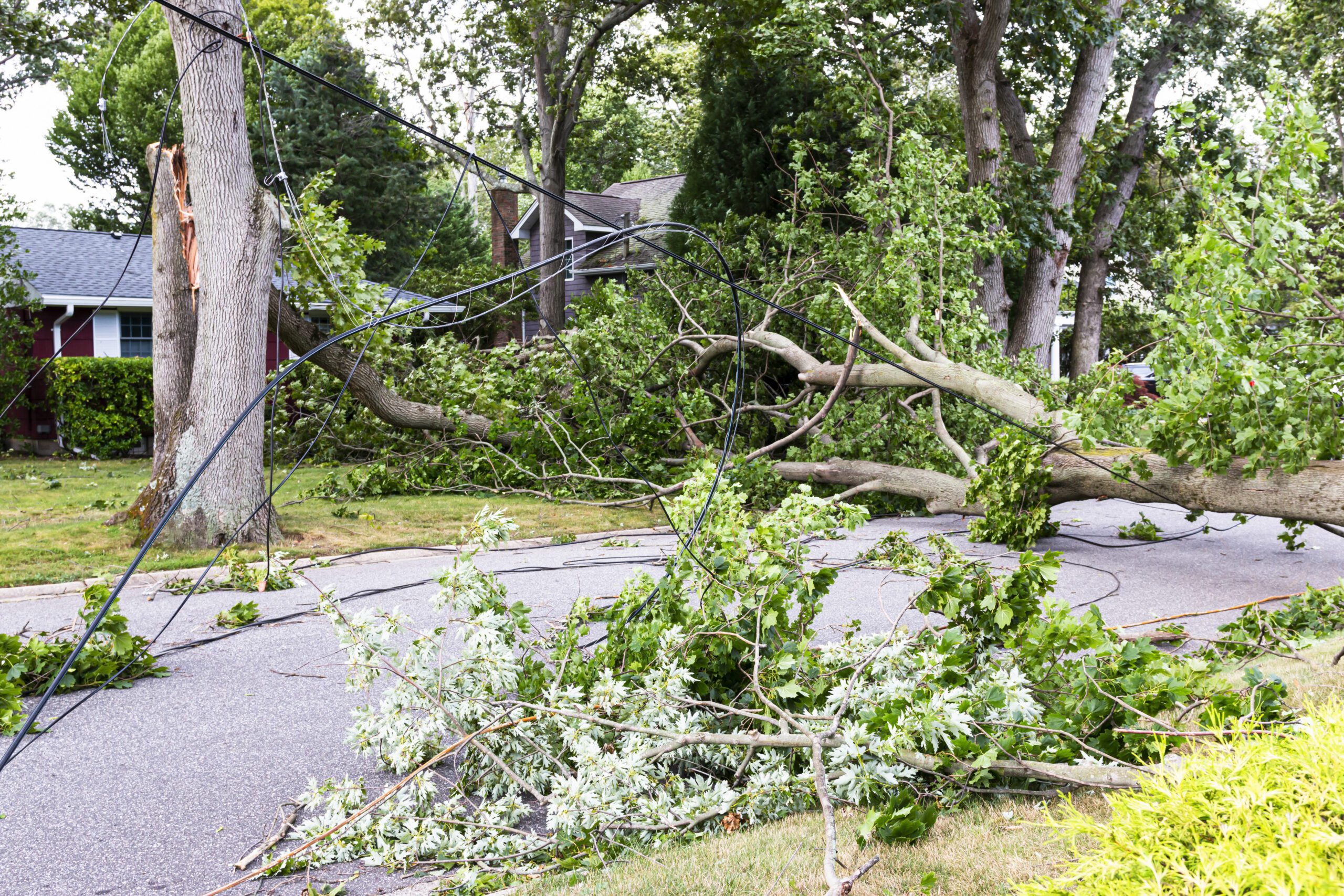 NYSEG’s new plan for hurricane season
