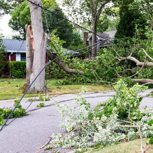 NYSEG’s new plan for hurricane season