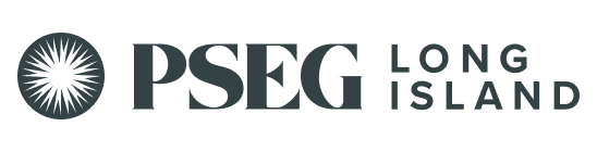 https://gridx.com/wp-content/uploads/2025/08/Logo_PSEGLI_Stone.png logo in slider